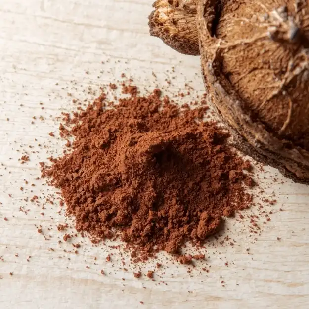 What does chaga extract do?